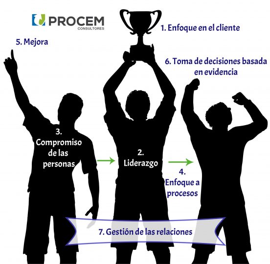 Principios Del Sistema De Gestión De Calidad Explicados Y Con Ejemplos